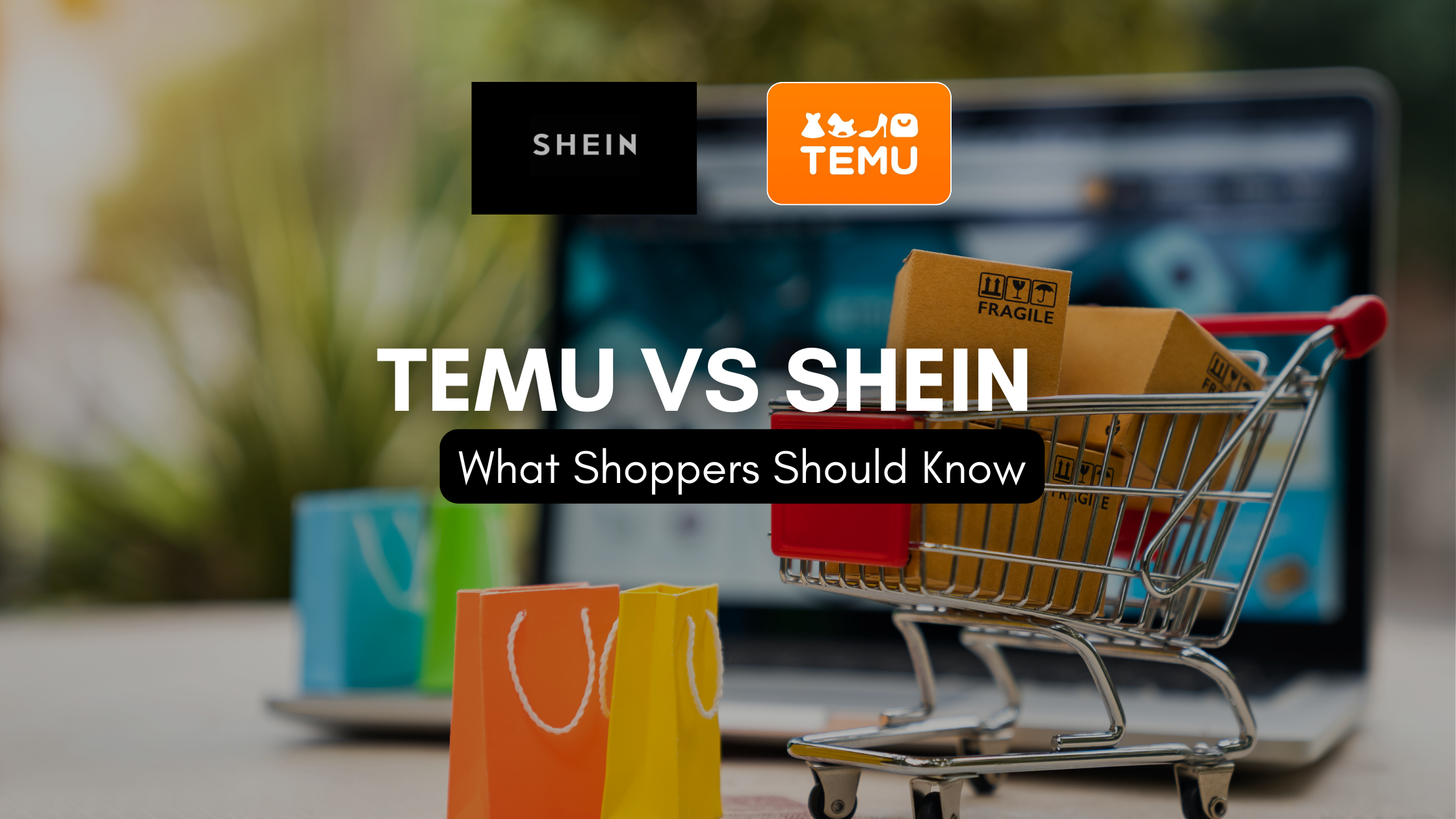 Temu vs Shein